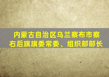 内蒙古自治区乌兰察布市察右后旗旗委常委、组织部部长
