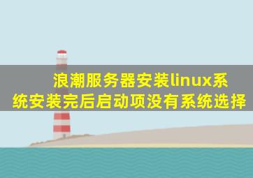浪潮服务器安装linux系统安装完后启动项没有系统选择
