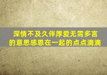 深情不及久伴厚爱无需多言的意思感恩在一起的点点滴滴