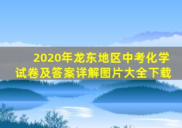 2020年龙东地区中考化学试卷及答案详解图片大全下载