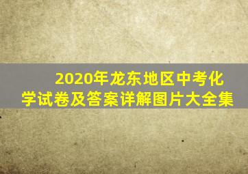 2020年龙东地区中考化学试卷及答案详解图片大全集