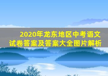 2020年龙东地区中考语文试卷答案及答案大全图片解析