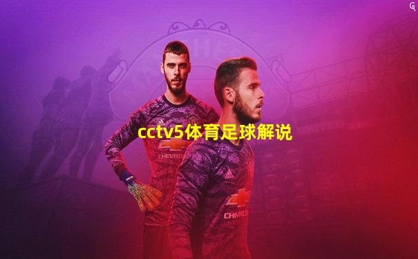 cctv5体育足球解说