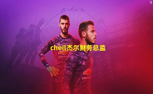 cheil杰尔财务总监
