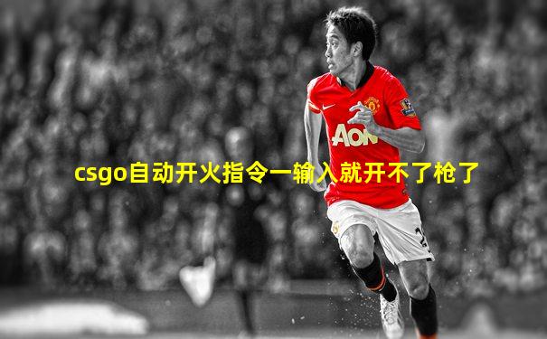csgo自动开火指令一输入就开不了枪了