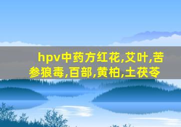 hpv中药方红花,艾叶,苦参狼毒,百部,黄柏,土茯苓