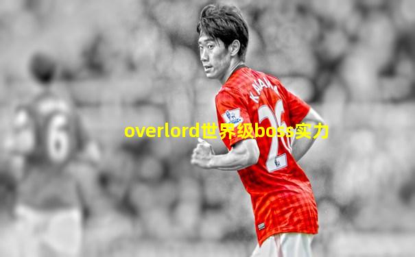 overlord世界级boss实力