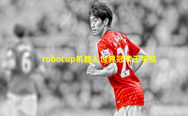 robocup机器人世界冠军王宇航