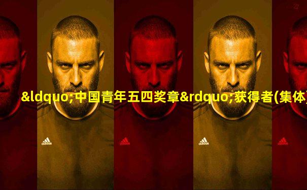 “中国青年五四奖章”获得者(集体)事迹分享会心得体会
