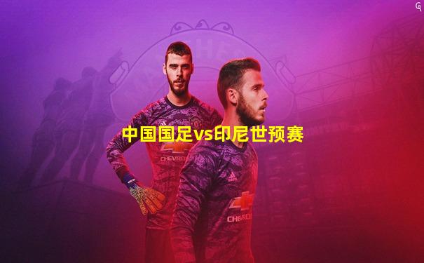 中国国足vs印尼世预赛
