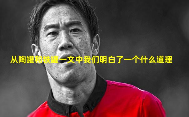 从陶罐和铁罐一文中我们明白了一个什么道理