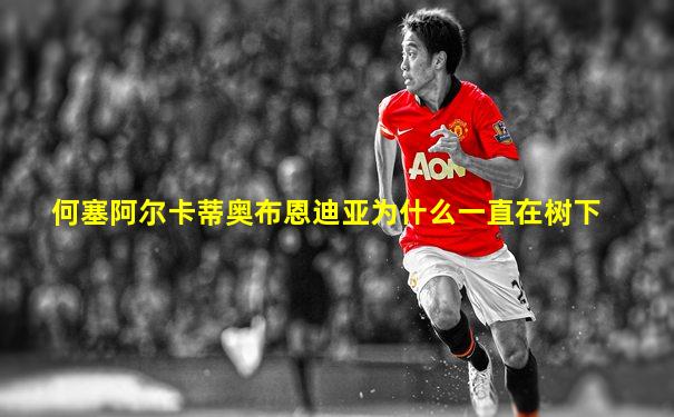 何塞阿尔卡蒂奥布恩迪亚为什么一直在树下