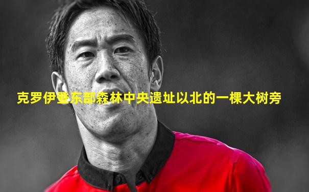 克罗伊登东部森林中央遗址以北的一棵大树旁