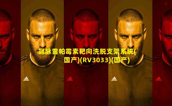 冠脉雷帕霉素靶向洗脱支架系统(国产)(RV3033)(国产)