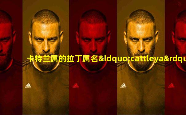 卡特兰属的拉丁属名“cattleya”源自于
