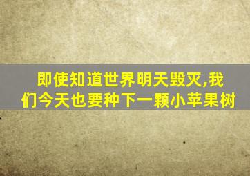 即使知道世界明天毁灭,我们今天也要种下一颗小苹果树