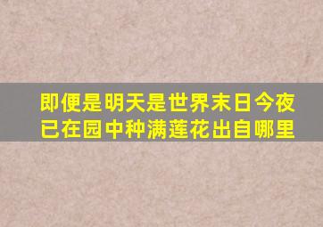 即便是明天是世界末日今夜已在园中种满莲花出自哪里