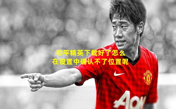 和平精英下载好了怎么在设置中确认不了位置呢