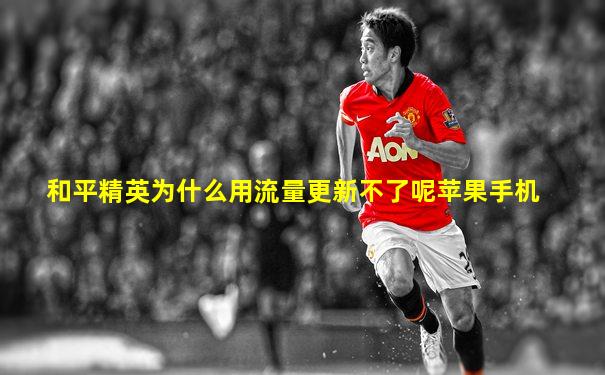 和平精英为什么用流量更新不了呢苹果手机
