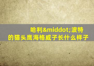 哈利·波特的猫头鹰海格威子长什么样子