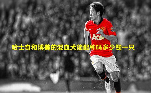 哈士奇和博美的混血犬能配种吗多少钱一只