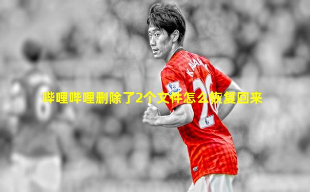 哔哩哔哩删除了2个文件怎么恢复回来