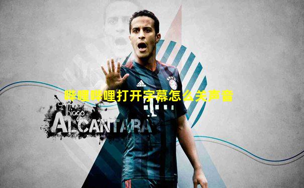 哔哩哔哩打开字幕怎么关声音