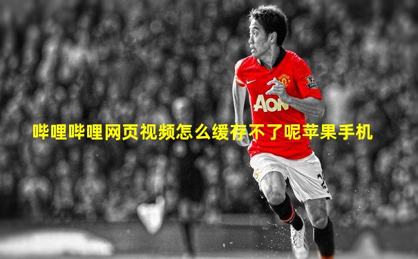 哔哩哔哩网页视频怎么缓存不了呢苹果手机