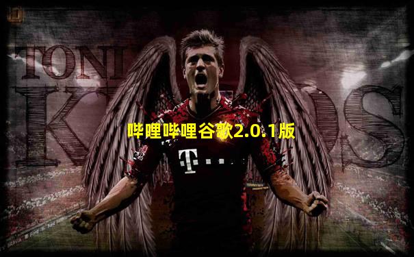 哔哩哔哩谷歌2.0.1版