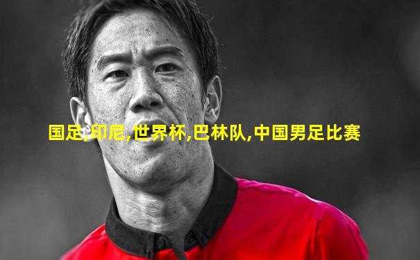 国足,印尼,世界杯,巴林队,中国男足比赛