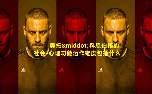 奥托·科恩伯格的社会-心理功能运作维度包括什么