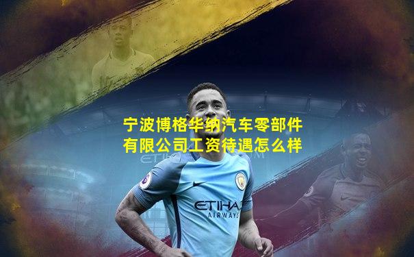宁波博格华纳汽车零部件有限公司工资待遇怎么样