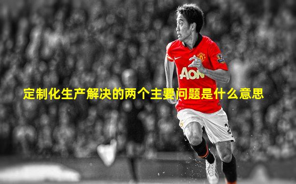 定制化生产解决的两个主要问题是什么意思