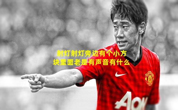 射灯射灯旁边有个小方块里面老是有声音有什么