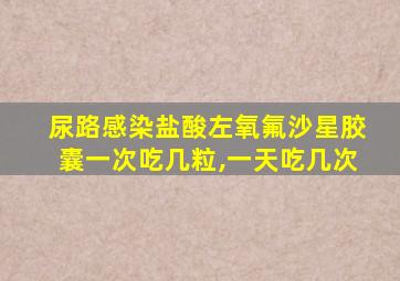 尿路感染盐酸左氧氟沙星胶囊一次吃几粒,一天吃几次