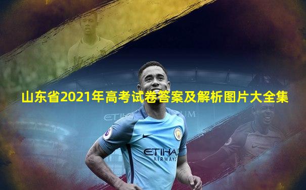 山东省2021年高考试卷答案及解析图片大全集