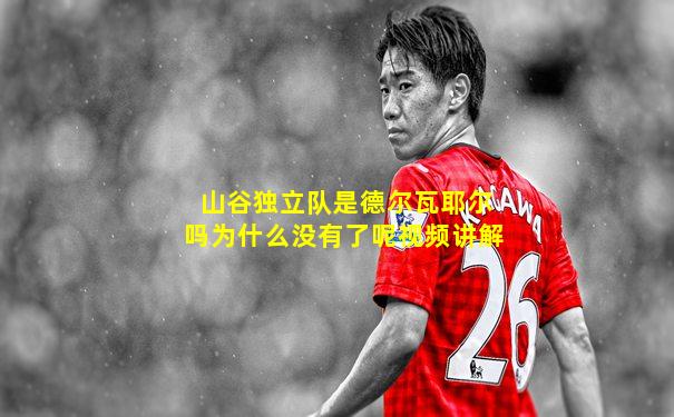 山谷独立队是德尔瓦耶尔吗为什么没有了呢视频讲解