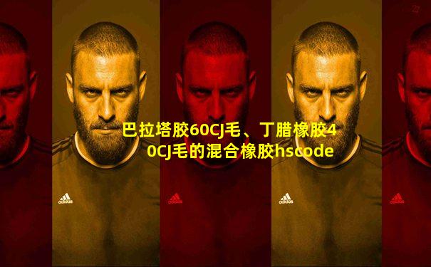 巴拉塔胶60CJ毛、丁腊橡胶40CJ毛的混合橡胶hscode