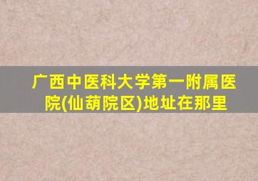 广西中医科大学第一附属医院(仙葫院区)地址在那里