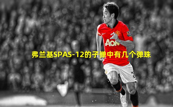 弗兰基SPAS-12的子弹中有几个弹珠