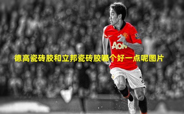 德高瓷砖胶和立邦瓷砖胶哪个好一点呢图片