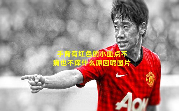 手背有红色的小血点不痛也不痒什么原因呢图片