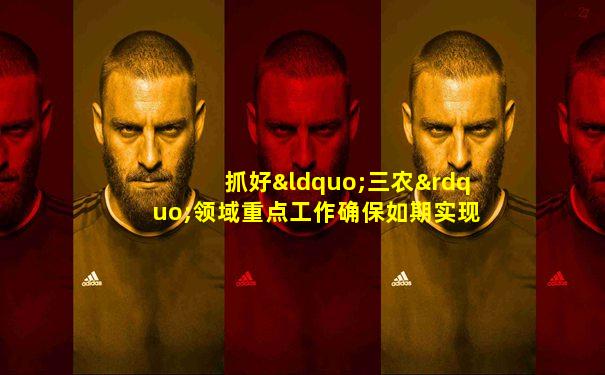 抓好“三农”领域重点工作确保如期实现全面小康的意见