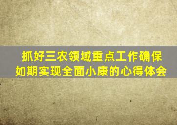 抓好三农领域重点工作确保如期实现全面小康的心得体会