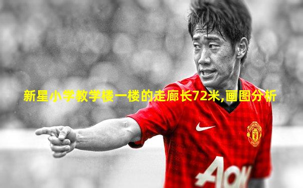 新星小学教学楼一楼的走廊长72米,画图分析