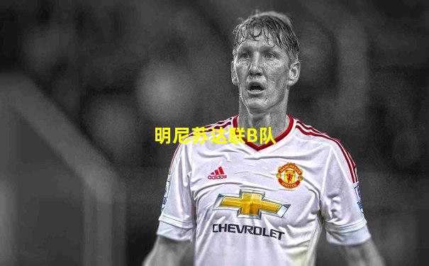 明尼苏达联B队