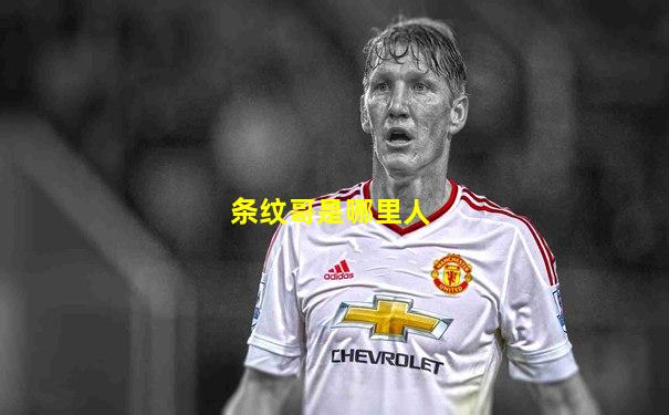 条纹哥是哪里人