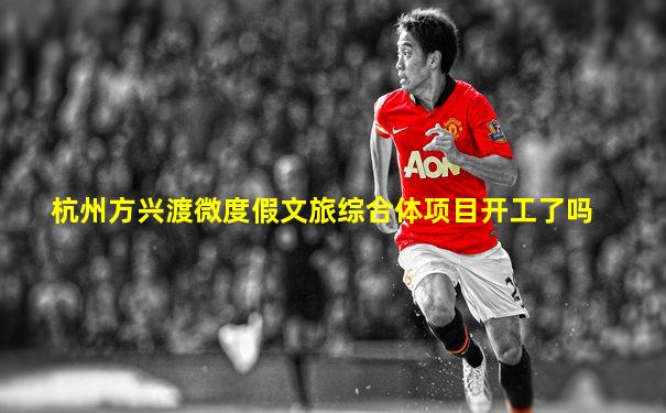 杭州方兴渡微度假文旅综合体项目开工了吗