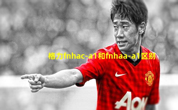 格力fnhac-a1和fnhaa-a1区别