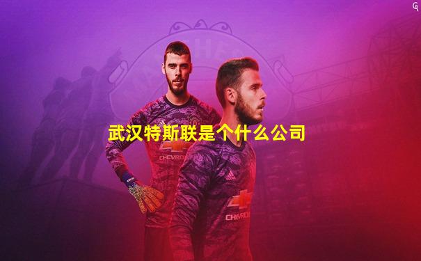 武汉特斯联是个什么公司